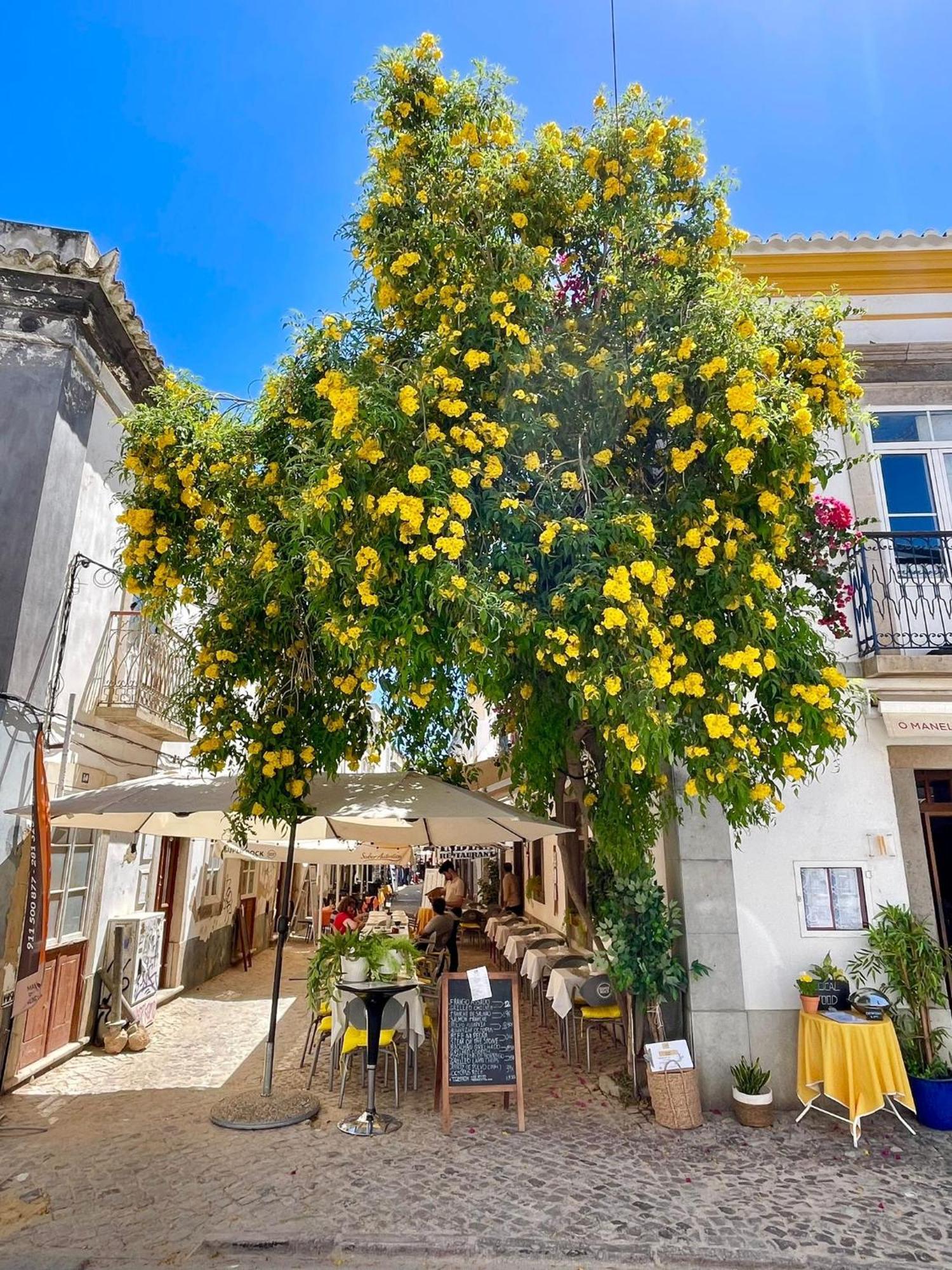 B&B Quinta A Fonte Tavira - Adults Only Eksteriør bilde